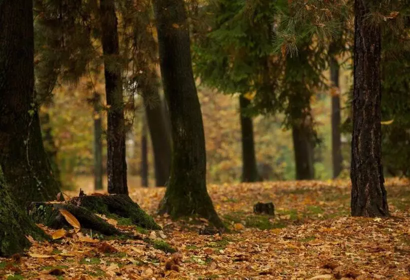 ベッドアンドブレックファースト Sant'anna