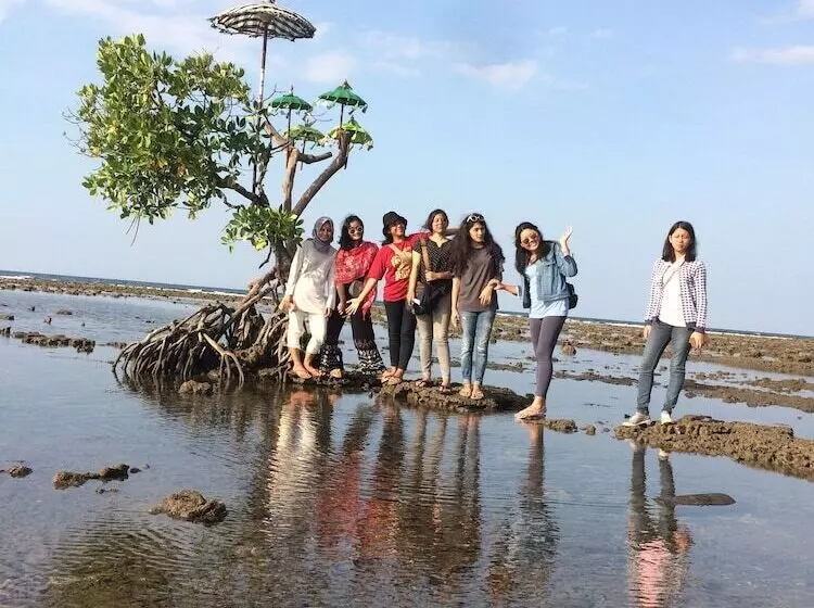 Hotelli Biorock Homestay