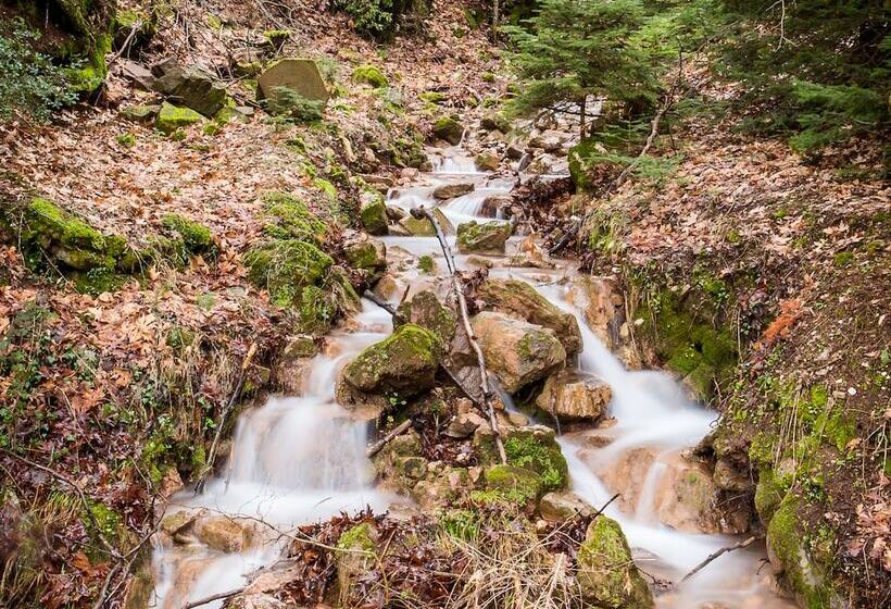 Country Club Hotel & Suites