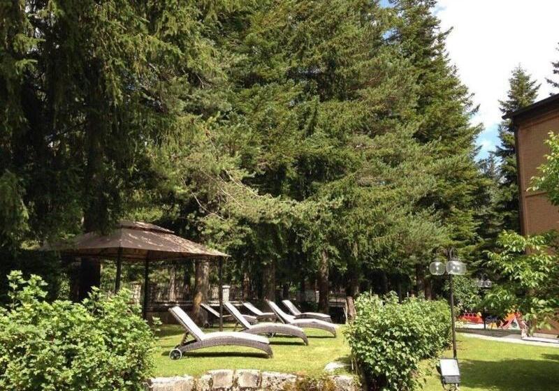 בית מלון כפרי Lh Albergo Il Picchio