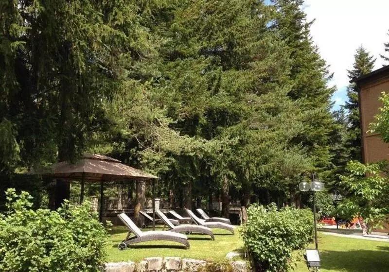 Hotelli Lh Albergo Il Picchio