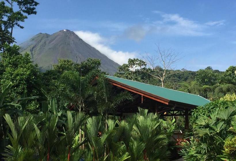 فندق Mussaenda, Arenal