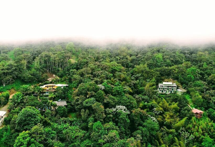 Hotelli Yumbo Love Experience