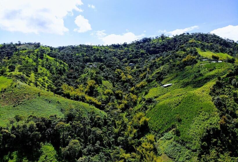 Hotelli Yumbo Love Experience