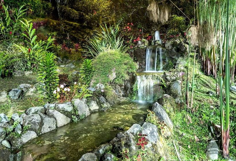 Hotelli Yumbo Love Experience