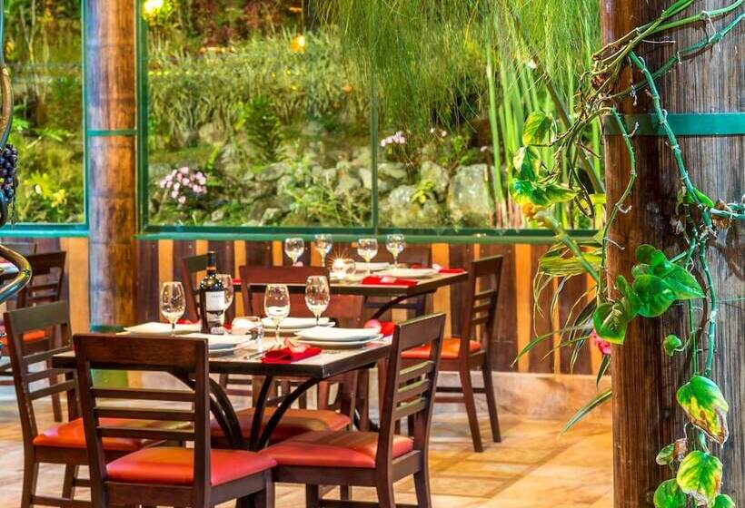 Hotelli Yumbo Love Experience