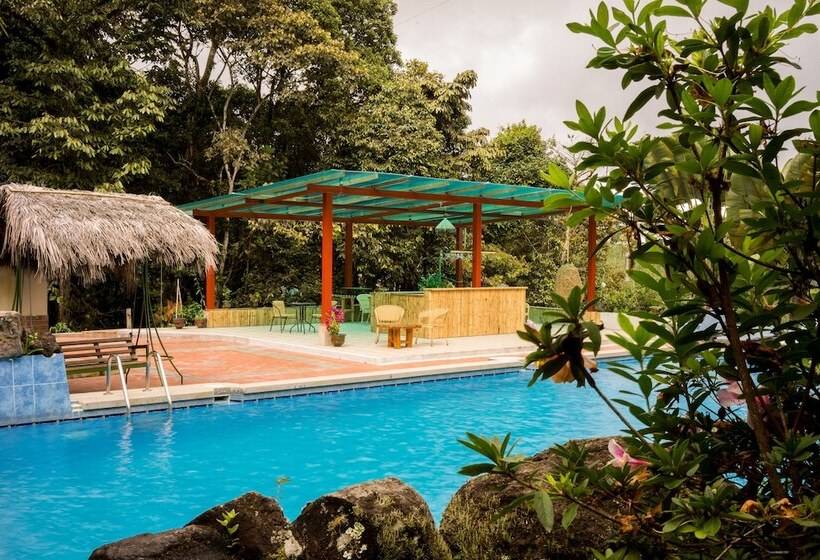 Hotelli Yumbo Love Experience