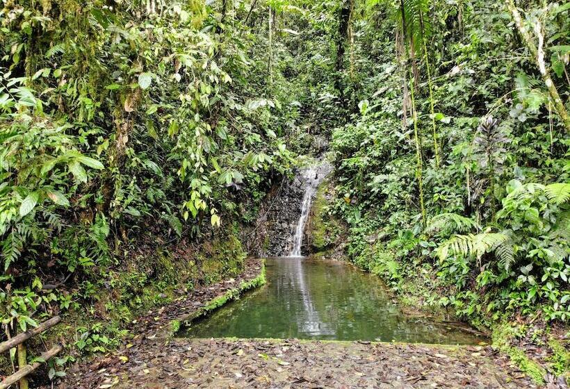 Hotelli Yumbo Love Experience