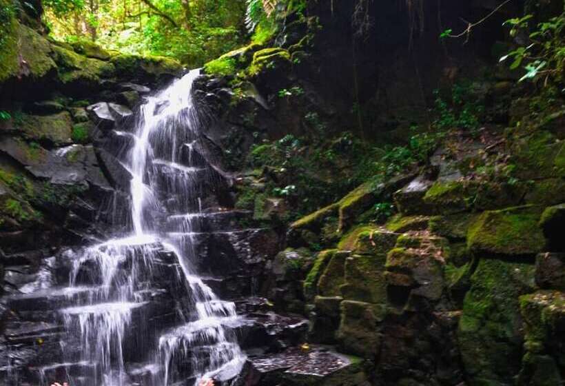 Avita Lodge Hotel De Montaña