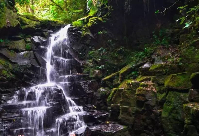 Avita Lodge Hotel De Montaña