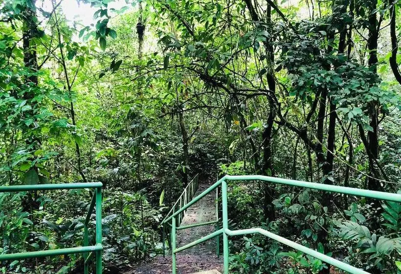 Avita Lodge Hotel De Montaña