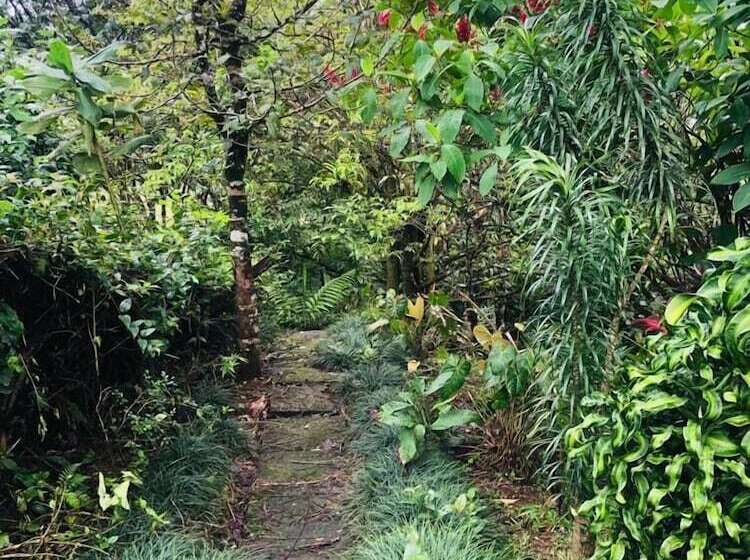 Avita Lodge Hotel De Montaña