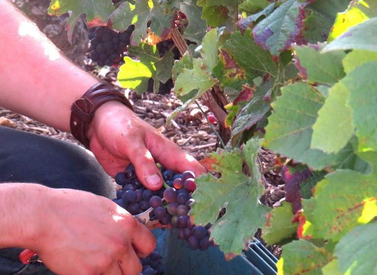 ベッドアンドブレックファースト Champagne Gilmaire Etienne