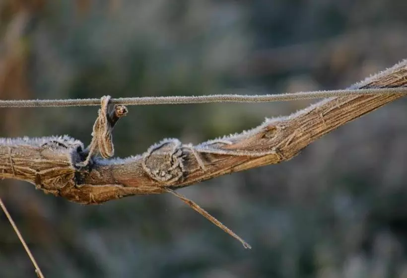 ベッドアンドブレックファースト Champagne Gilmaire Etienne