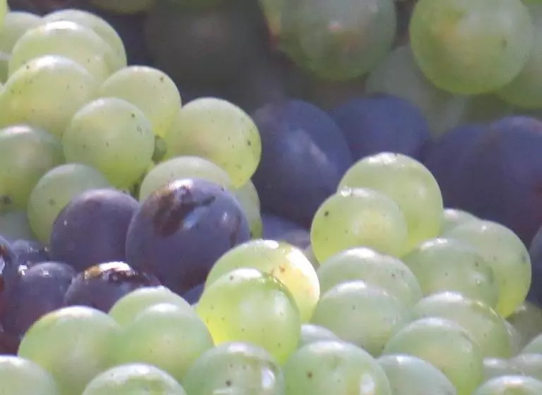 ベッドアンドブレックファースト Champagne Gilmaire Etienne