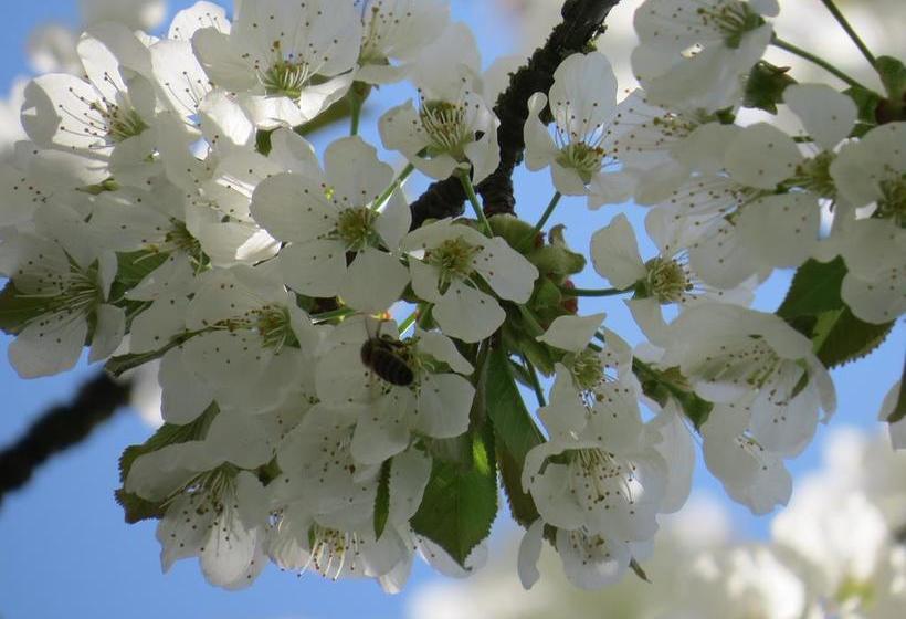 ベッドアンドブレックファースト Champagne Gilmaire Etienne