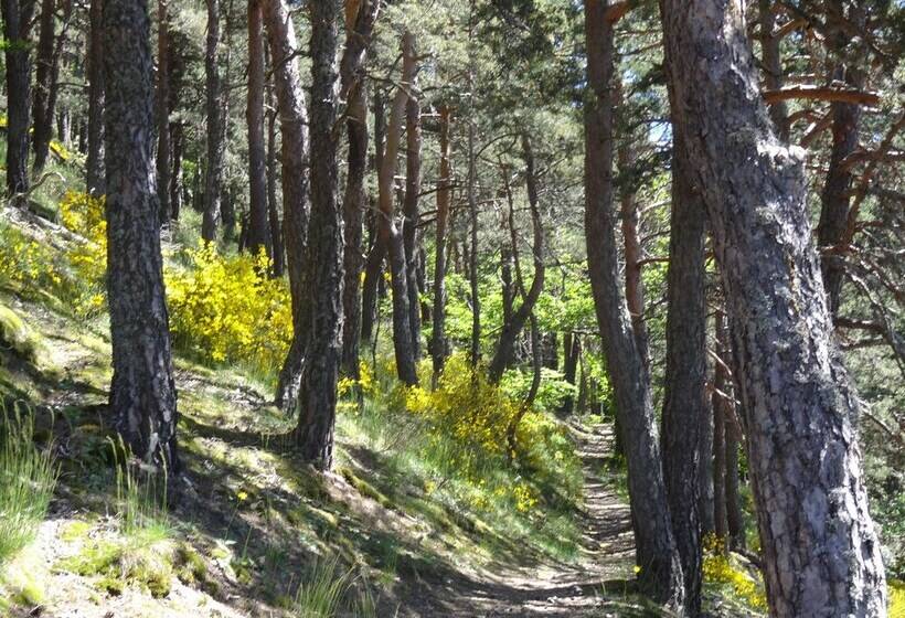 צימר Le Relais De Rochepaule