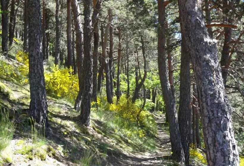 Aamiaismajoitus (B&B) Le Relais De Rochepaule