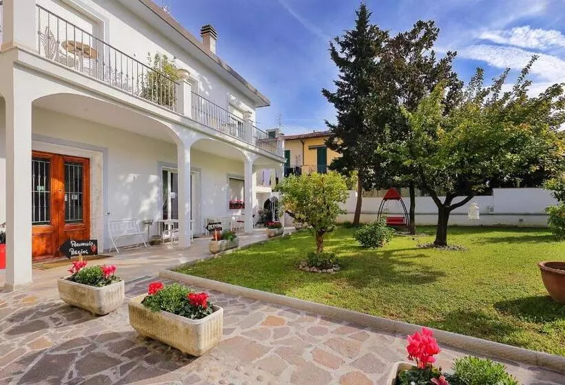 Florence Comfort B&b