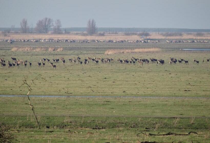 Hajé Hotel Restaurant De Lepelaar