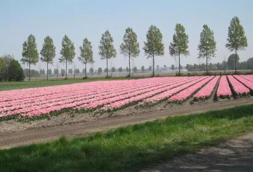 Hajé Hotel Restaurant De Lepelaar