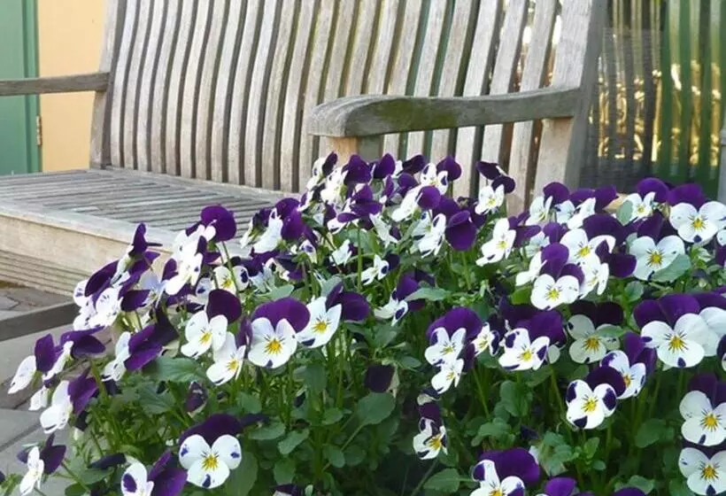 Hajé Hotel Restaurant De Lepelaar