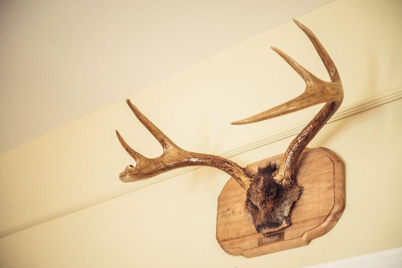 客栈  L'authentique Auberge De Charlevoix