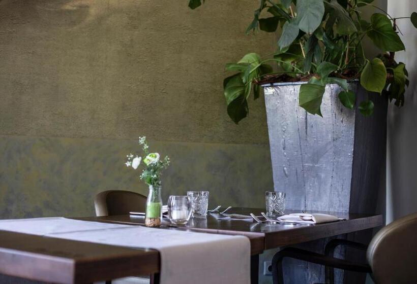 פונדק Villa Rubenshof