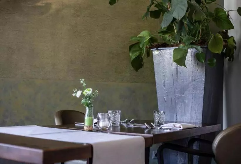 Hostelli Villa Rubenshof