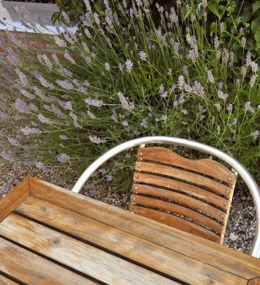 فندق D Angleterre Etretat