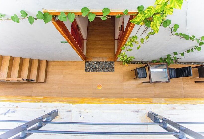 هتل Alaika Maafushi