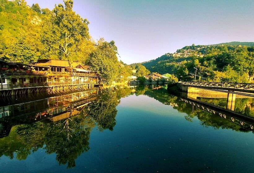 בית מלון כפרי Pansion River