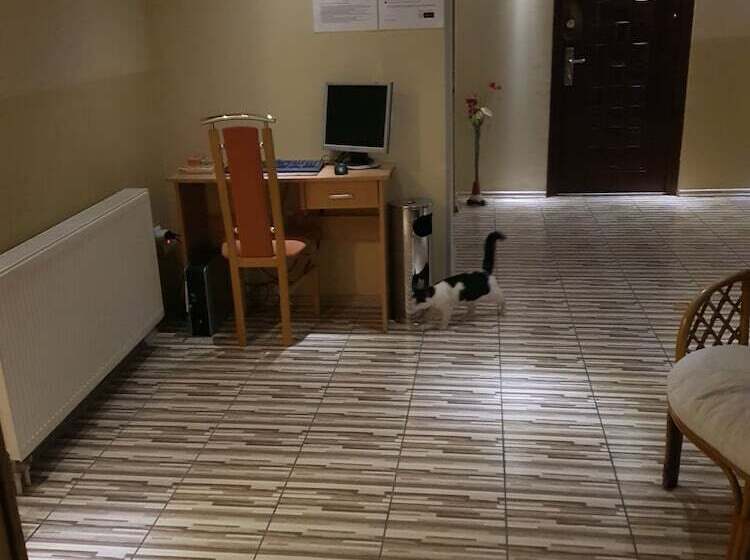 בית מלון כפרי Pansion River