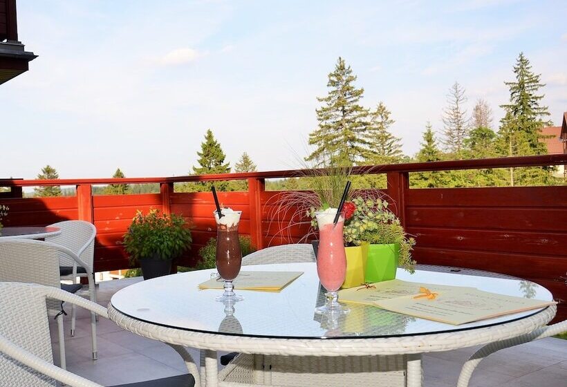 酒店 Willa Odkrywcow