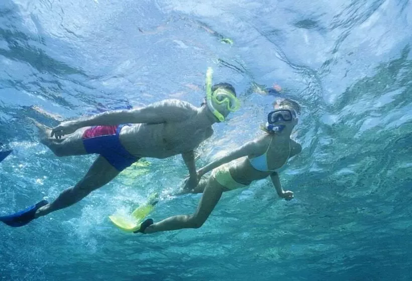 هتل Cove Resort Palau