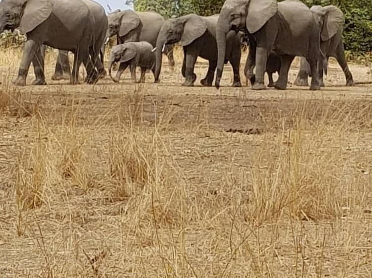 هتل Ngoma Zanga Lodge