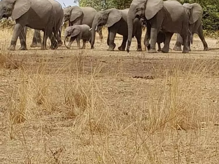 هتل Ngoma Zanga Lodge