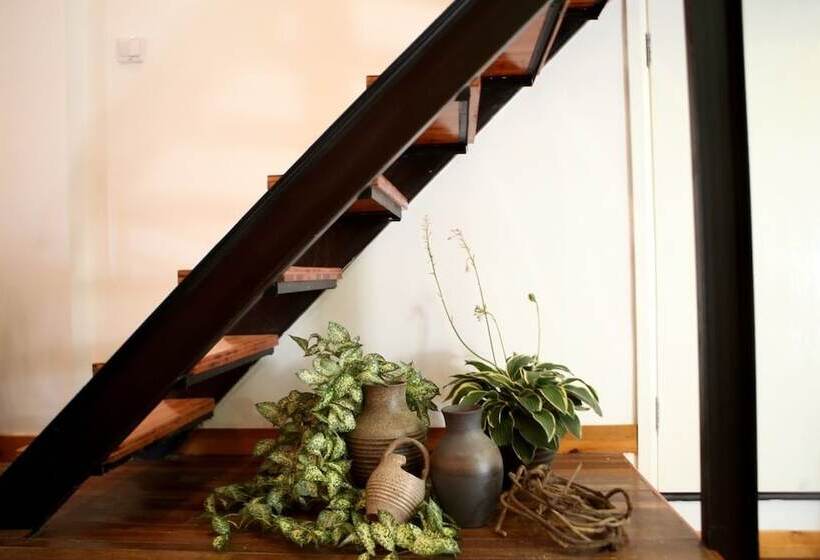 Jy Distributed Theme Hotel Apartment