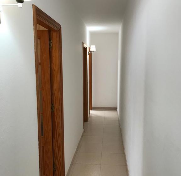 Red Star Surf   Hostel