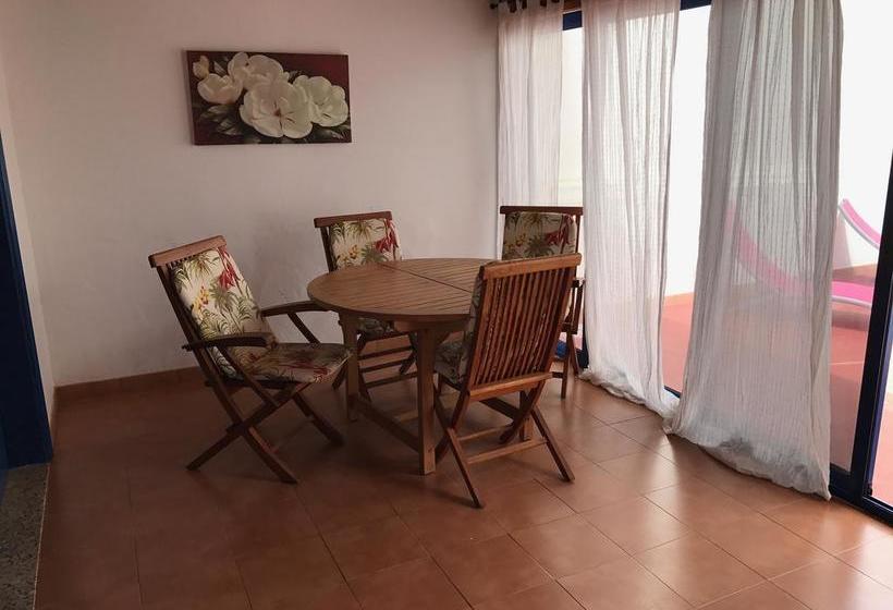 Red Star Surf   Hostel