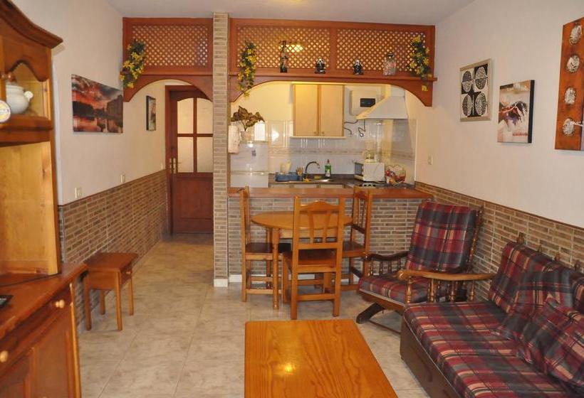 Red Star Surf   Hostel