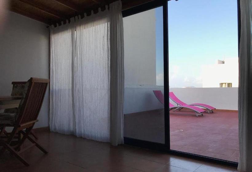 Red Star Surf   Hostel