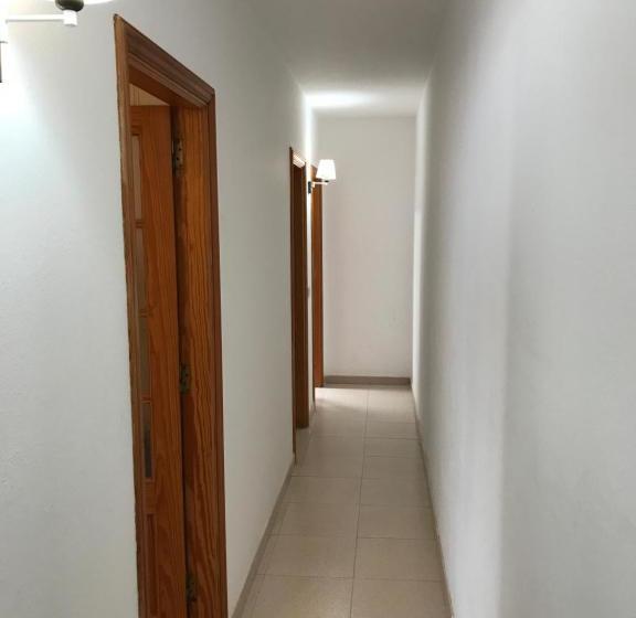 Red Star Surf   Hostel