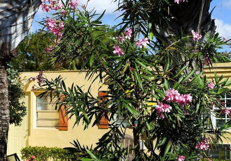 客栈  Atlantic Hideaway