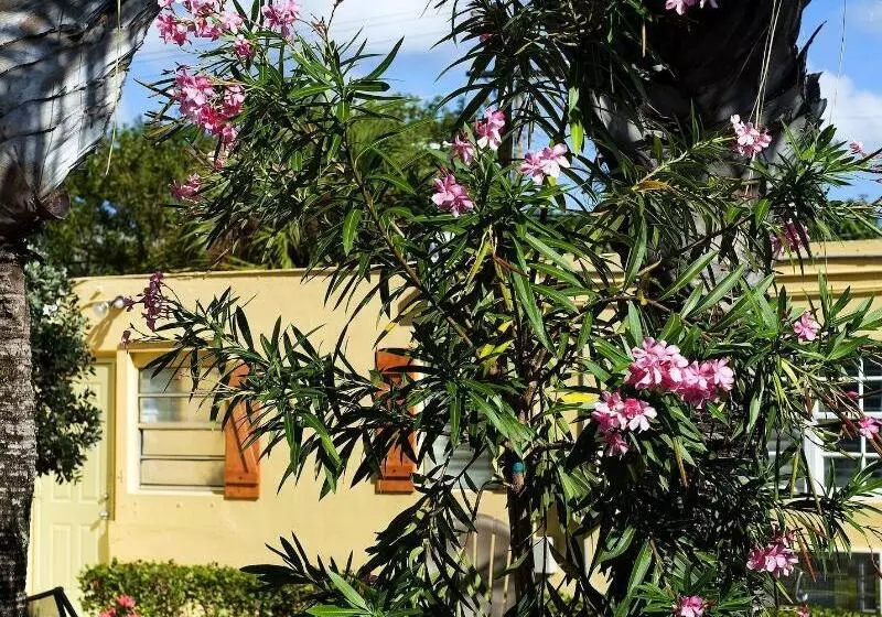 簡易ホテル Atlantic Hideaway