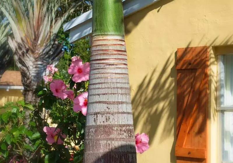 簡易ホテル Atlantic Hideaway