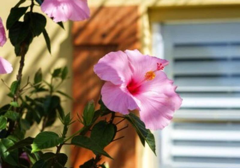 客栈  Atlantic Hideaway