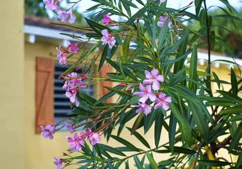 簡易ホテル Atlantic Hideaway