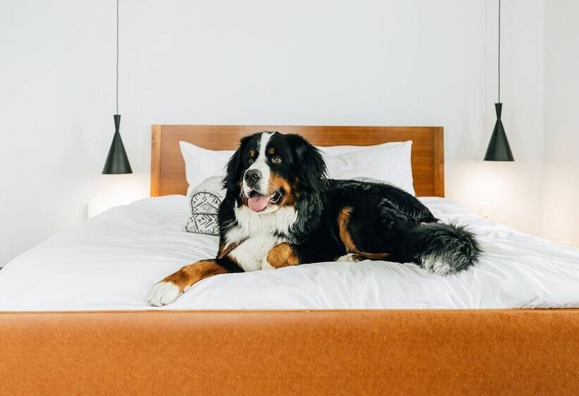 The Maven Hotel At Dairy Block