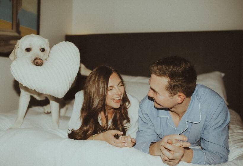 The Maven Hotel At Dairy Block